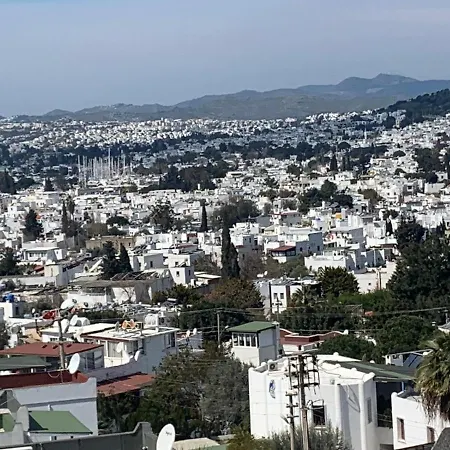 Great Spot In The Heart Of *